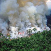 amazonia
