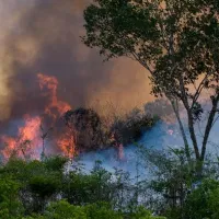 Αμαζόνιος πυρκαγιές Βραζιλία