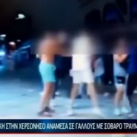 ΚΡΗΤΗ TV