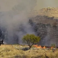 Μυκήνες