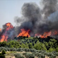 Σαράντα οκτώ δασικές πυρκαγιές εκδηλώθηκαν το τελευταίο 24ωρο