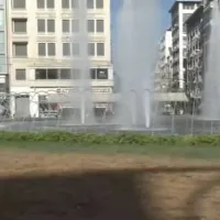 gkazon omonoia