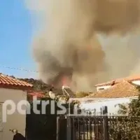 hleia pyrkagia