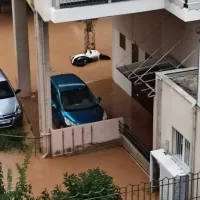 Καρδίτσα Ιανός