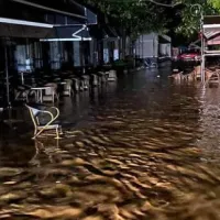 Καρδίτσα Ιανός