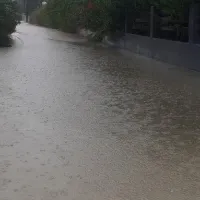 Καρδίτσα Ιανός