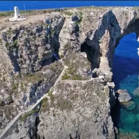 navarino