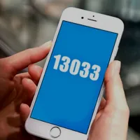 13033