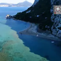 paralia aspida vrasida