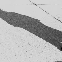 Η εξομοίωση κολεγίων φέρνει επιστήμονες αμφιβόλου κατάρτισης