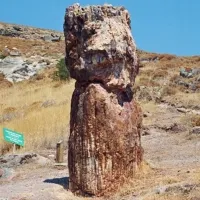 apolithomeno dasos