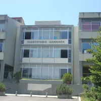 ioanninon