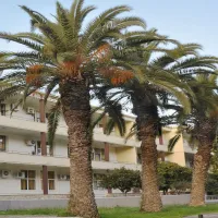 Βενιζέλειο Νοσοκομείο Κρήτης