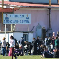 damasi skines
