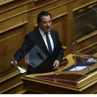 georgiadis-vouli