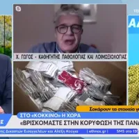 Χαράλαμπος Γώγος - OPEN