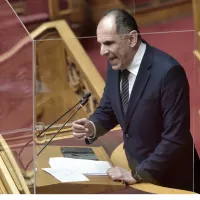 Γιώργος Γεραπετρίτης - Βουλή