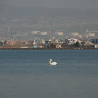 παράκτια+περιοχή+Καλοχωρίου_3
