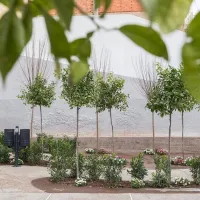 pocket park