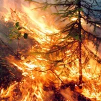 Πυρκαγιά στη Σιβηρία