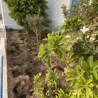 βοτανικός κήπος δημοτικού Κιμώλου