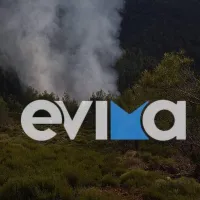 fotia