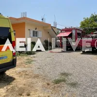hleia