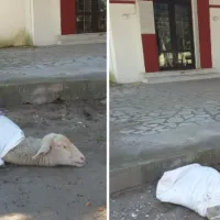 provato