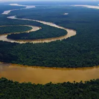 amazonios