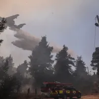 beriev stamata