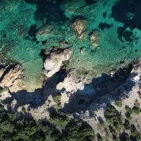 paralia