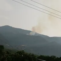 fotia atalanti