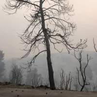 fotia pyrkagia