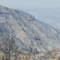 odoiporiko 4
