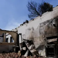 pyrkagia