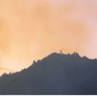 πυρκαγιά στην Ηλεία