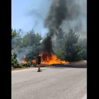 video fotia vilia