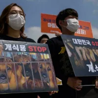 notiakorea