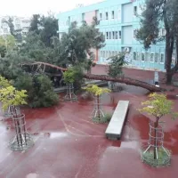 Κακοκαιρία Μπάλλος: Δέντρο έπεισε στην αυλή σχολείου στη Θεσσαλονίκη