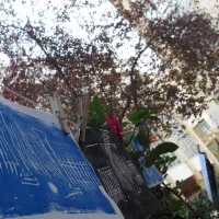 Τα θρανία της άνοιξης