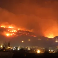 fotia tinos