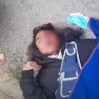 metanastis ergatis xylodarmos