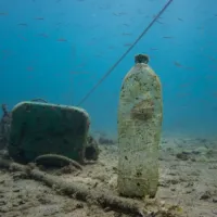 plastika thalassa