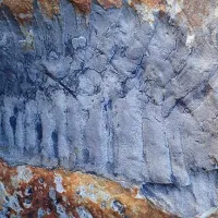 apolithoma