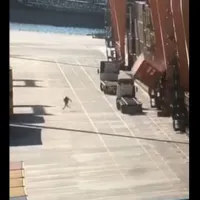 ergazomenos cosco