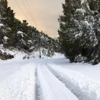 xionia