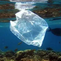 Πλαστικό στη Θάλασσα - Ρύπανση περιβάλλοντος