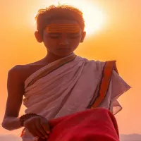 kausonas india