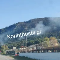 kexries fotia