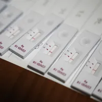 rapid test
